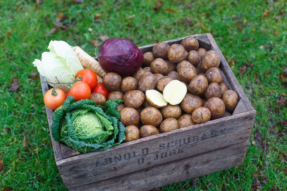 Kartoffelkiste mit Wirsingkohl, Chinakohl und Tomaten