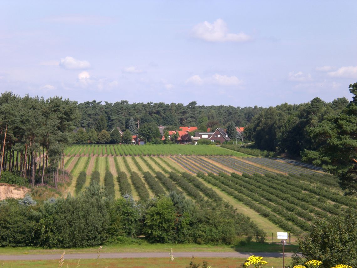 Gartenbaufläche Holtkötter in Geeste