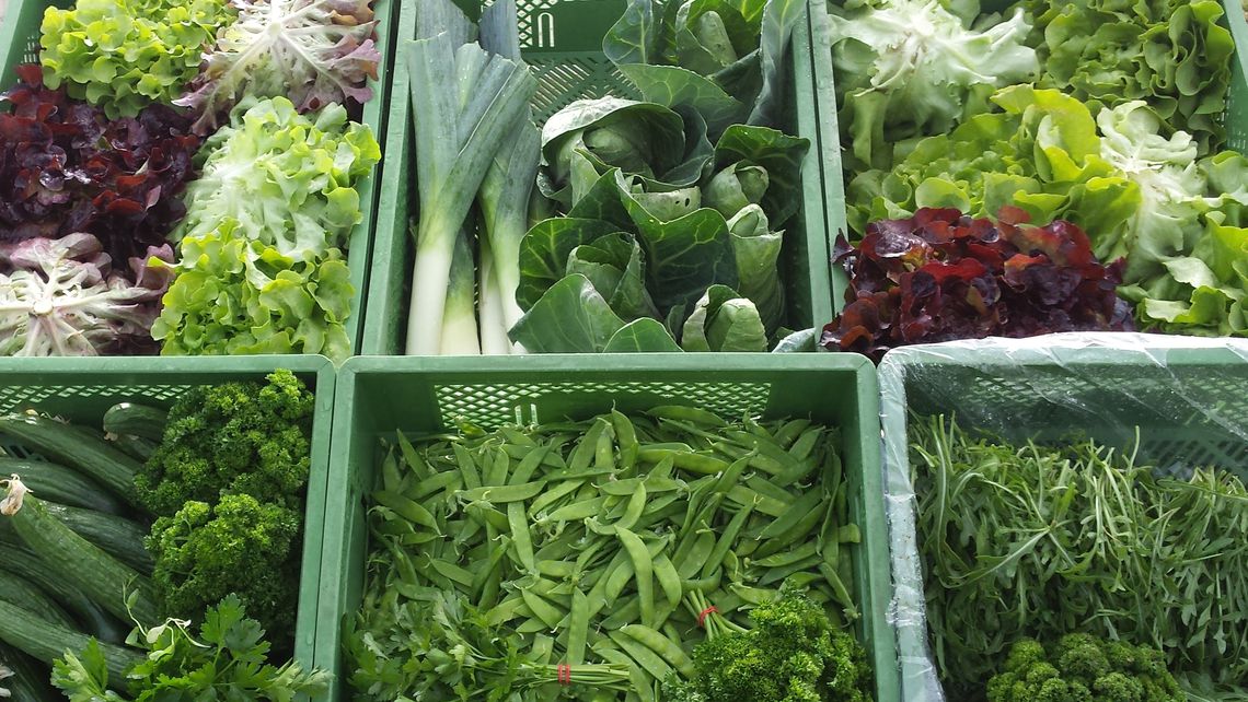 verschiene Gemüsekulturen auf einem Erntewagen